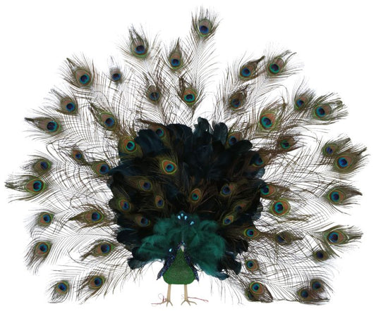 Elegant Peacock - 41 x 7 Inches