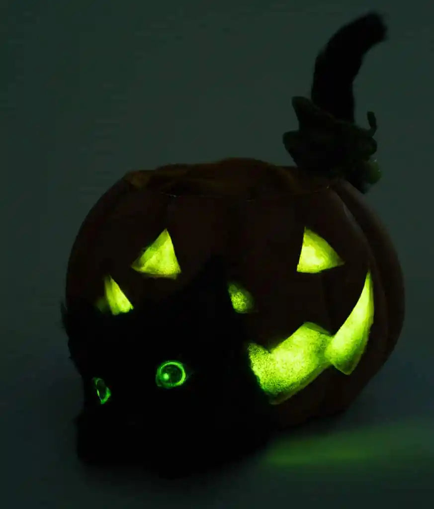 Halloween Hollow Cat in the Candy Bowl