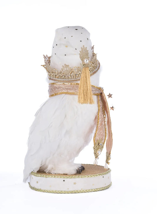 Starry Nights Comet The Owl