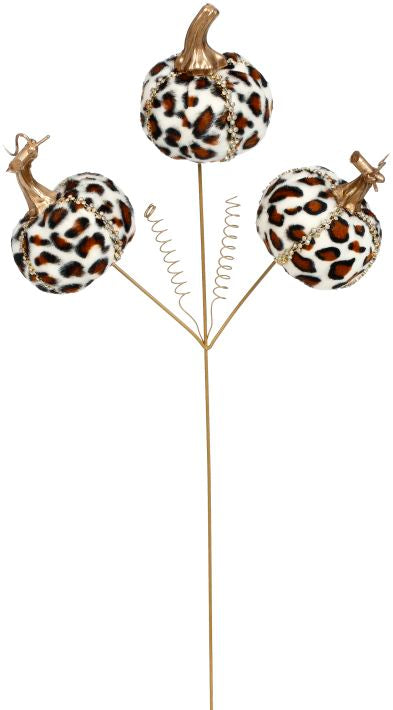 Pumpkin Spray, Leopard22''