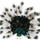 Elegant Peacock - 41 x 7 Inches