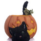 Halloween Hollow Cat in the Candy Bowl