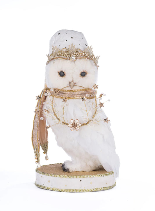 Starry Nights Comet The Owl