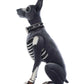 Bones the Dog