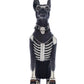 Bones the Dog