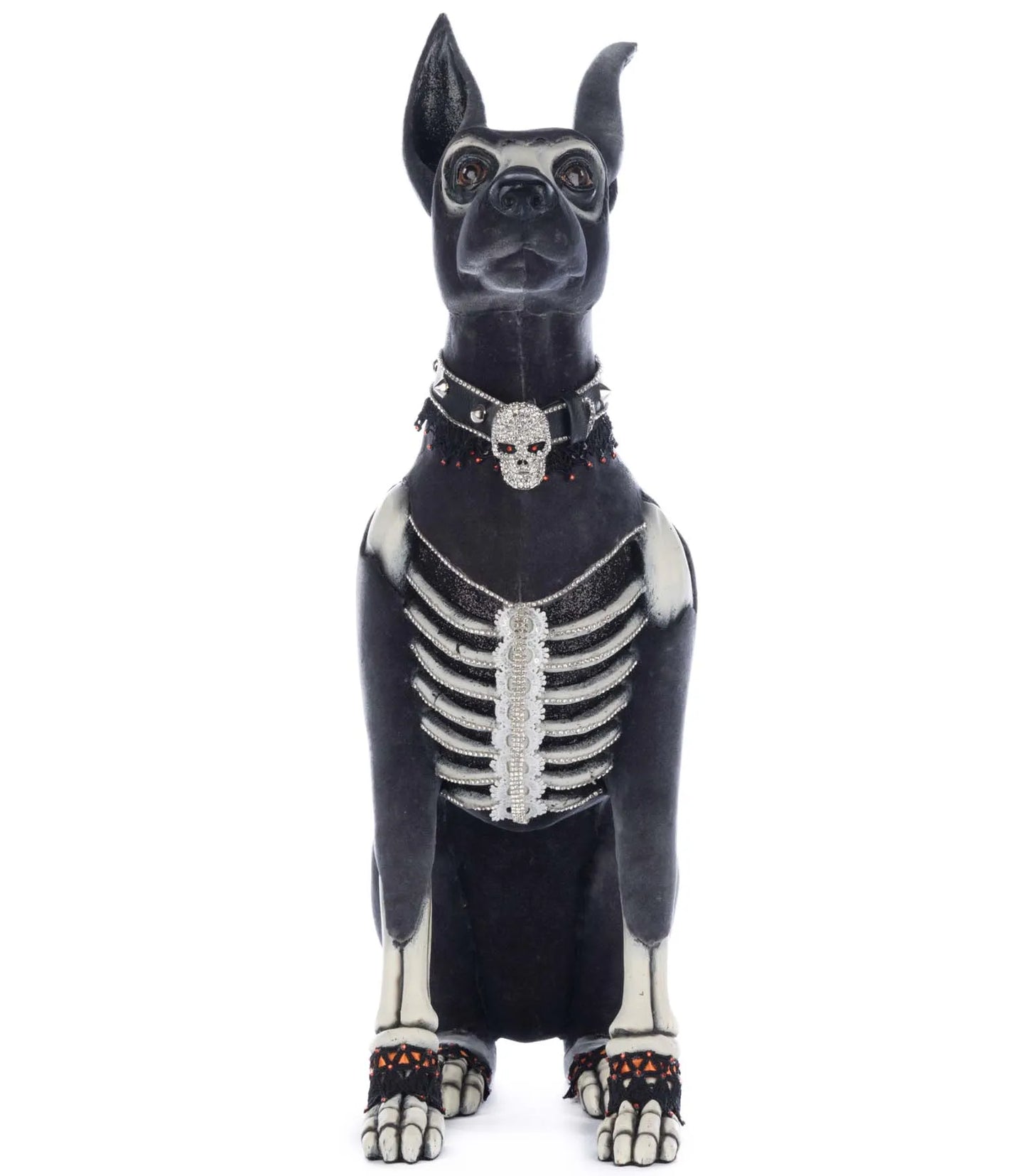 Bones the Dog
