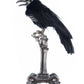 Crow on Skeleton Hand Perch
