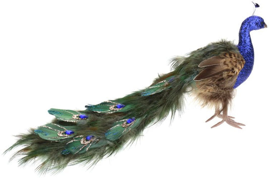 Royalty Peacock, Small - 8 Inches (set of 4)