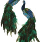 Regal Hanging Peacock, Medium, Set of 6 - 21 Inches
