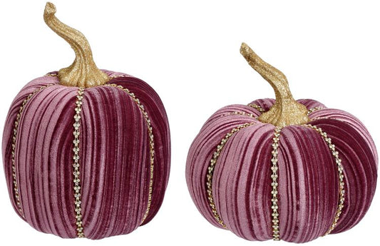 Jeweled Pumpkin, Purple 8-9''