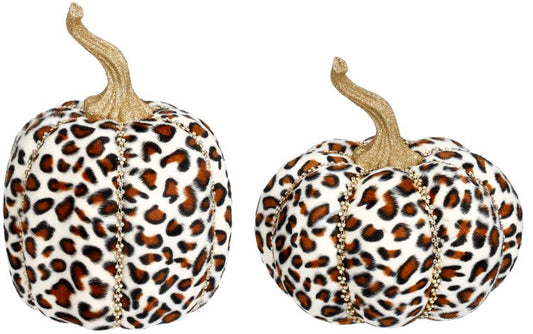 Jeweled Pumpkin, leopard 8-9''