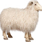 SHEEP DECOR 21 X 19''