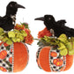 Pumpkin Crow Set 11-13.5'' (Set of 2)