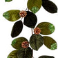 Magnolia W/Pcone Grlnd 47'', (Set of 4)