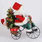 Lighted Biking Through Christmas Santa