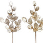 Gilded Holly Spray 25'' Set of 6