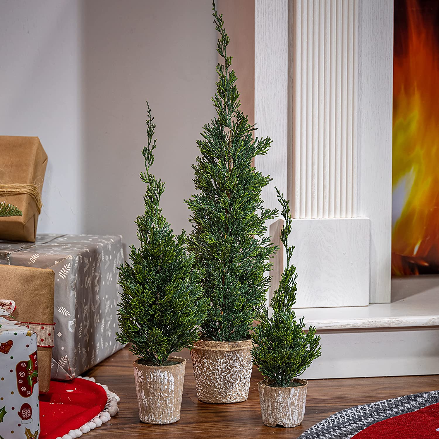 S/3 Potted Cedar Trees Holiday House Interiors